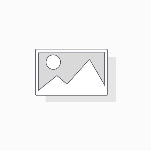 Depth Interviews